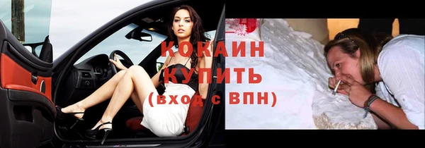 сатива Сафоново
