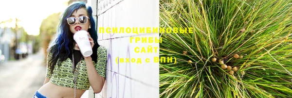 дурь Алзамай