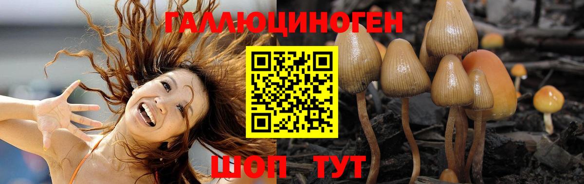 наркота  Вход с VPN  Еманжелинск  Галлюциногенные грибы MAGIC MUSHROOMS 